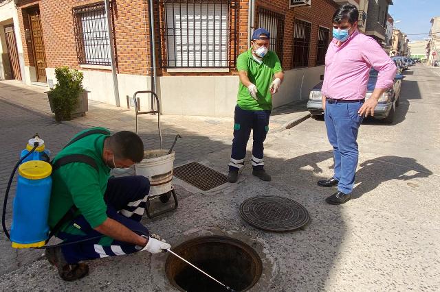 desinsectacion bolaños