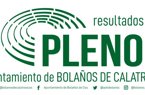 pleno ordinario