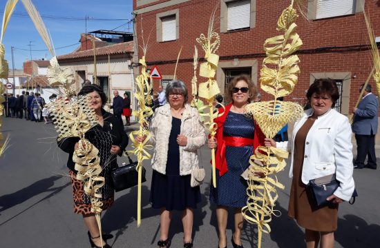 Rizado-de-palmas